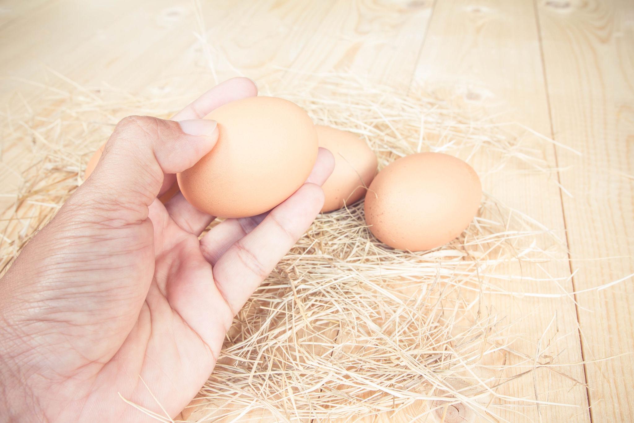 Kadaknath Eggs — high protein low cholesterol