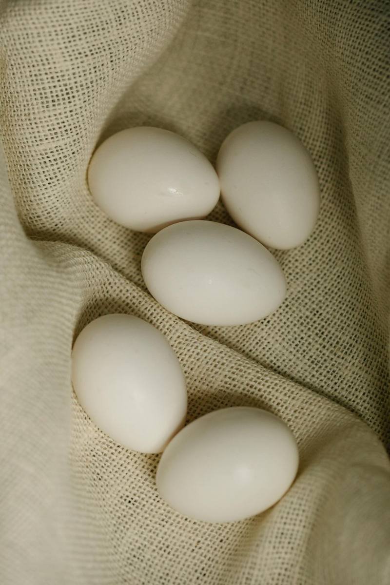 White Pekin Duck Eggs — free-range farm fresh eggs from Vihari Farms in Hyderabad