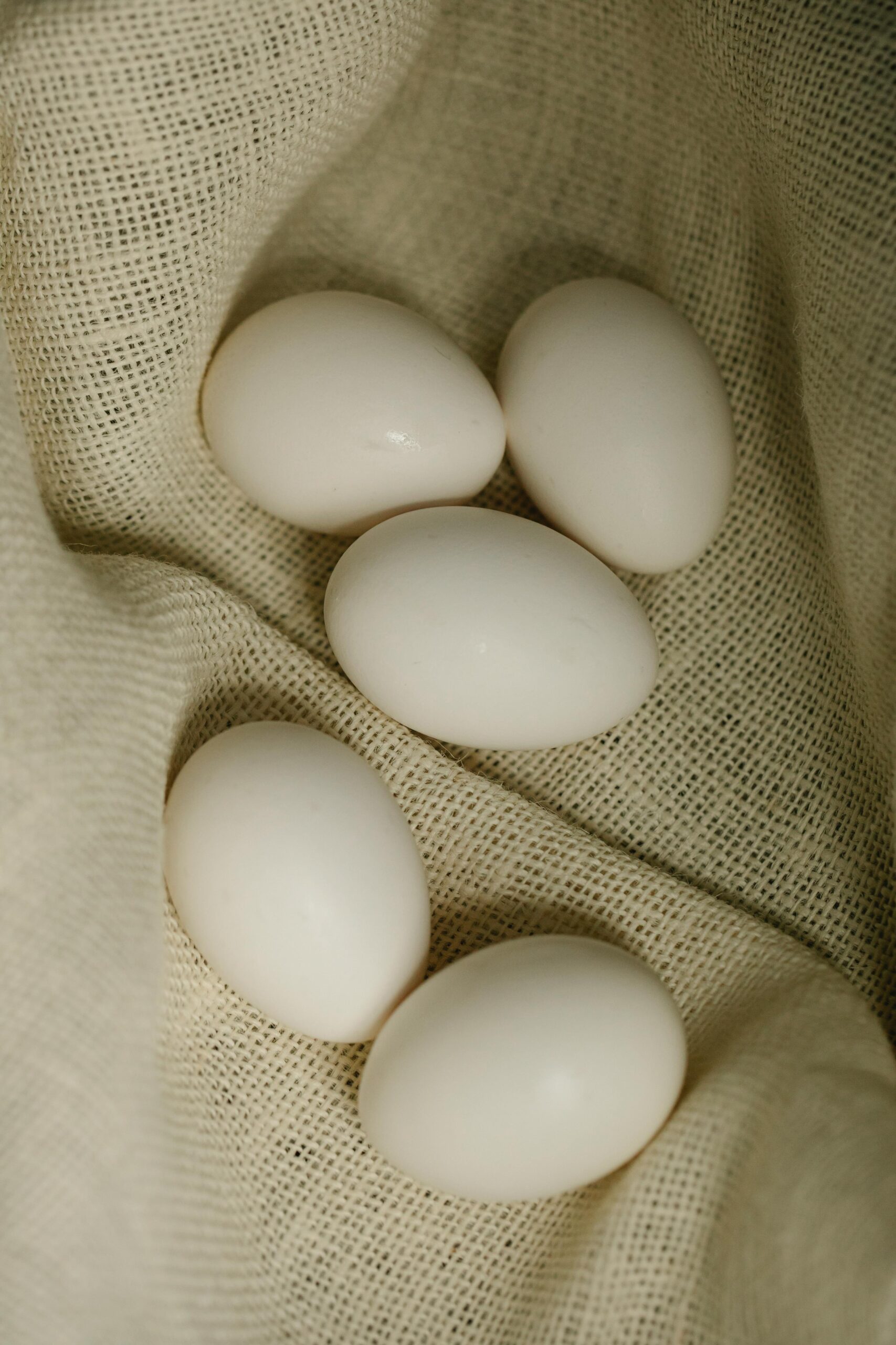 White Pekin Duck Eggs