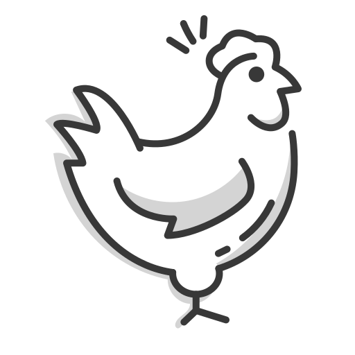 Free-range country chicken at Vihari Farms organic farm